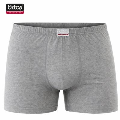 Erkek Süprem Boxer Melanj 1108-A