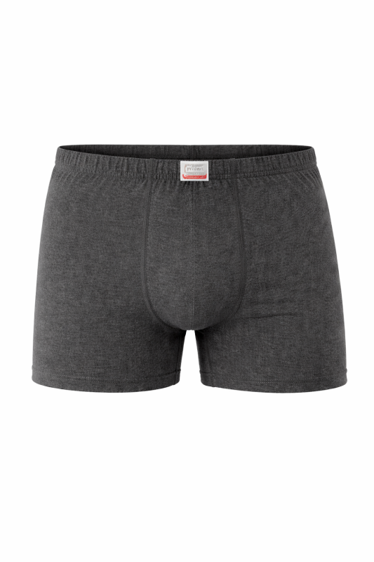 Erkek Süprem Boxer Melanj 1108-A