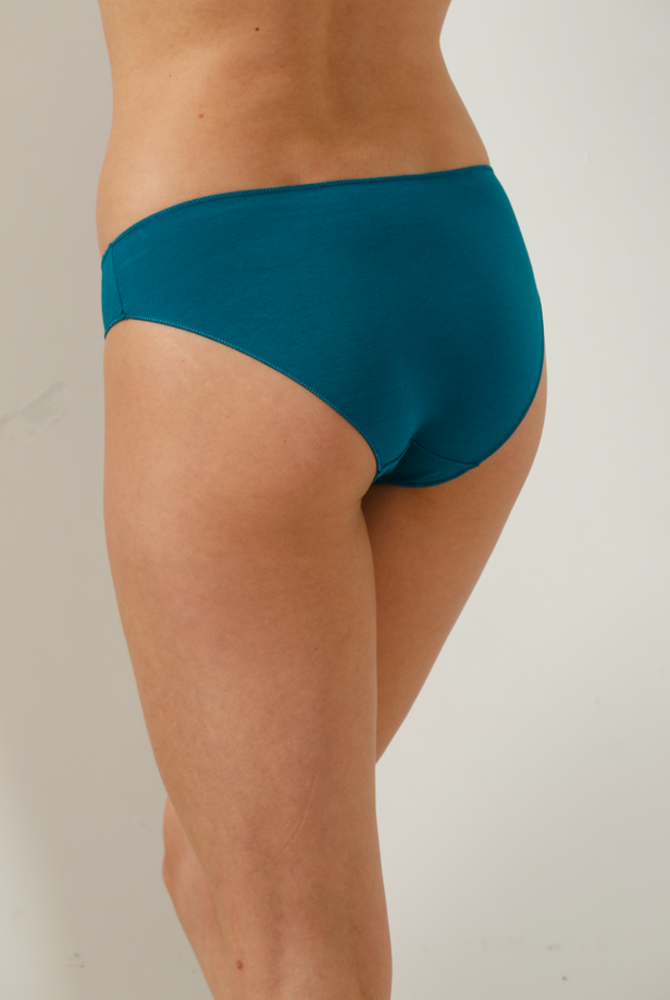 Kadın İzyapmaz Renkli Bikini 4'Lü Paket 2734-H