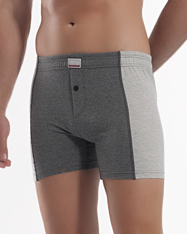 Erkek Kayrokalı Boxer Melanj 1149-A