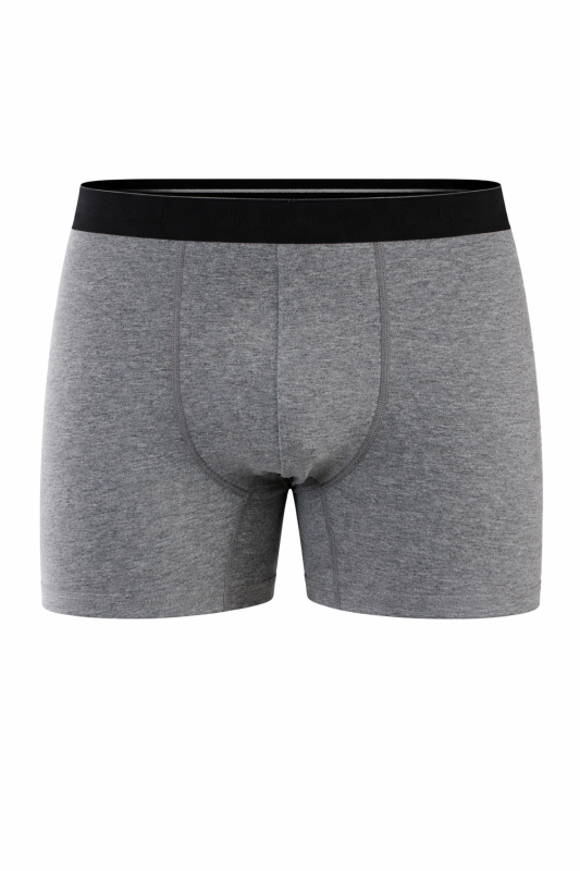 Erkek Battal Lycralı Boxer Melanj 1720-A