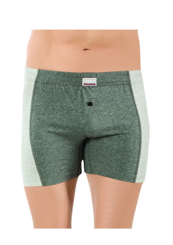 Erkek Kayrokalı Boxer Melanj 1149-A