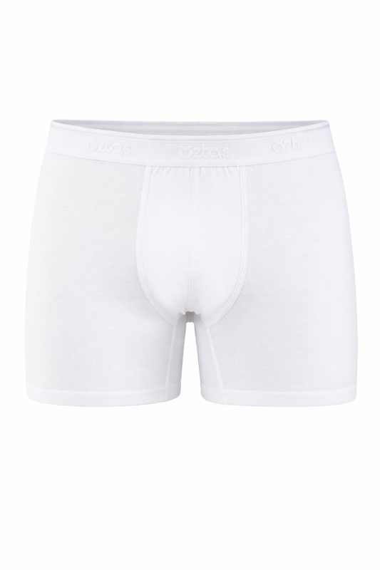 Erkek Battal Lycralı Boxer Renkli 1718-A